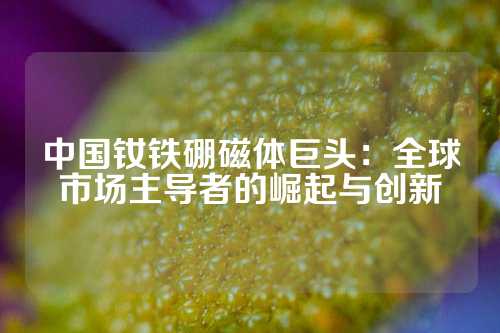 中國釹鐵硼磁體巨頭：全球市場主導(dǎo)者的崛起與創(chuàng)新