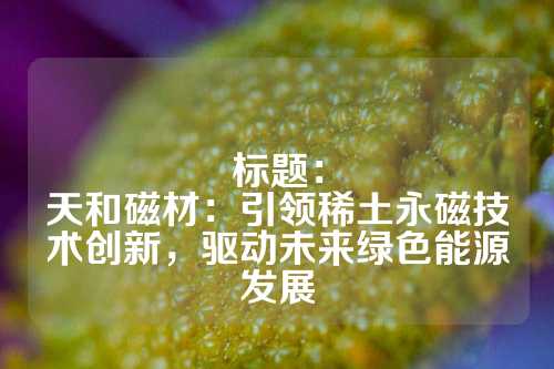 標(biāo)題：
天和磁材：引領(lǐng)稀土永磁技術(shù)創(chuàng)新，驅(qū)動未來綠色能源發(fā)展