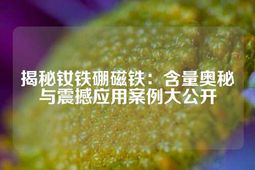 揭秘釹鐵硼磁鐵：含量奧秘與震撼應(yīng)用案例大公開