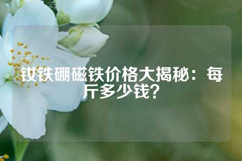 釹鐵硼磁鐵價(jià)格大揭秘：每斤多少錢(qián)？